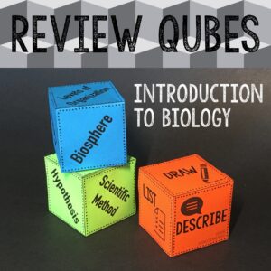 Review Qubes