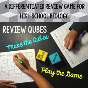 Review Qubes