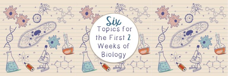 6 topics to cover in the first 2 weeks