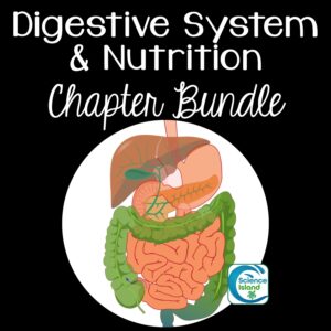 digestive system bundle for anatomy and physiology