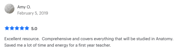 Anatomy and Physiology Activities Bundle - Image 8