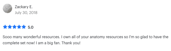 Anatomy and Physiology Activities Bundle - Image 7