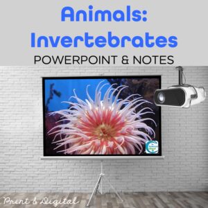 invertebrates powerpoint