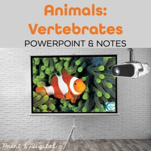 vertebrates powerpoint