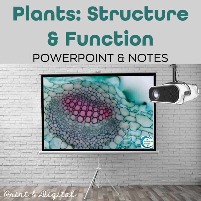 Plant Structure and Function PowerPoint, Notes, and Videos - Science Island