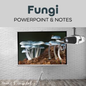 fungi powerpoint