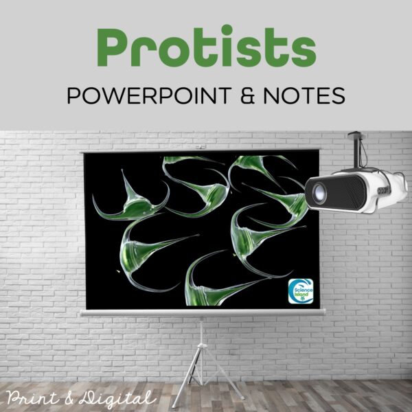 protists powerpoint