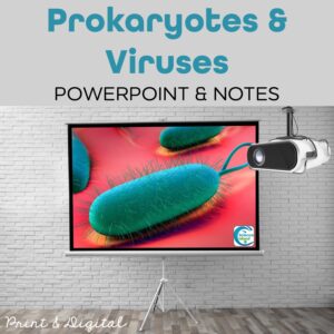 prokaryotes and viruses powerpoint