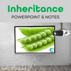 inheritance powerpoint