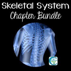 skeletal system unit