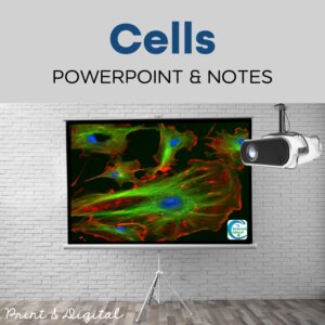 cells powerpoint