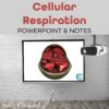 cellular respiration powerpoint