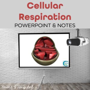 cellular respiration powerpoint