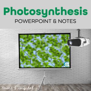 photosynthesis powerpoint