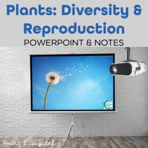 plants powerpoint