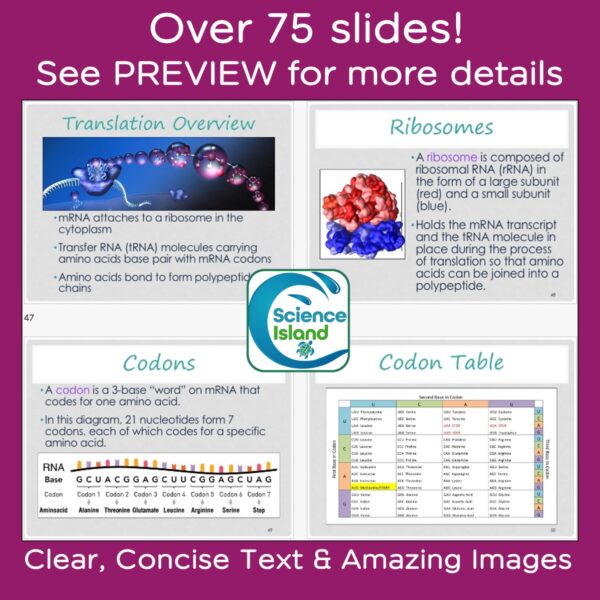 DNA and protein synthesis powerpoint