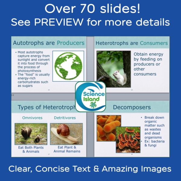 biosphere powerpoint