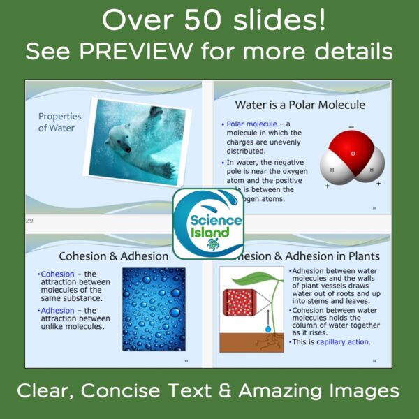 chemistry of life powerpoint