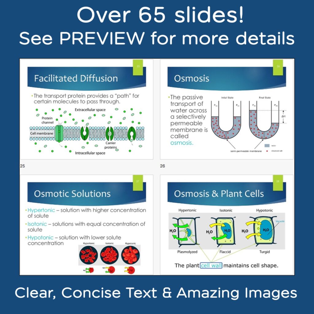 Cells PowerPoint, Notes, and Videos - Science Island