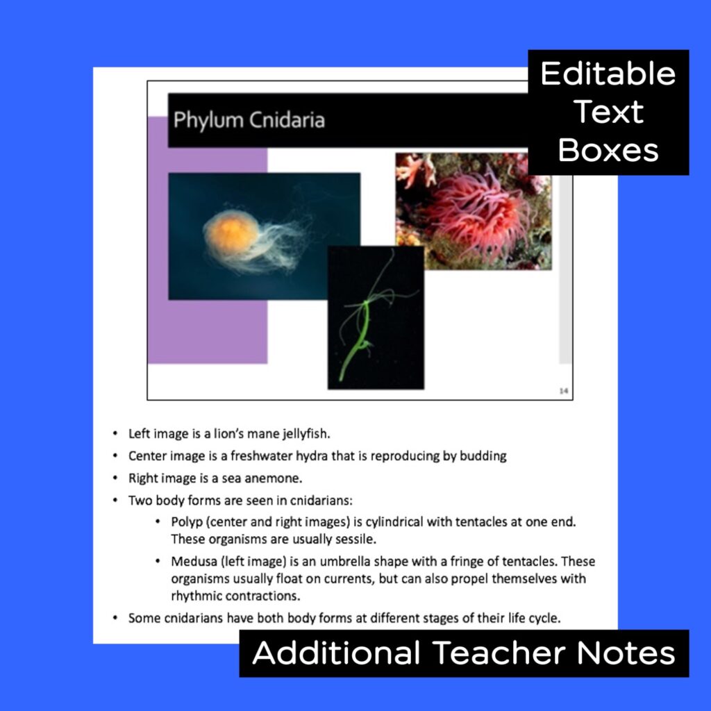 Invertebrates PowerPoint, Notes, and Videos - Science Island