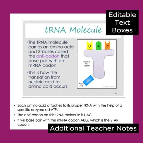 DNA and protein synthesis powerpoint