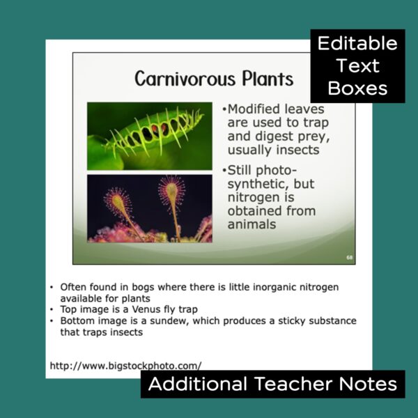 plant structure and function powerpoint