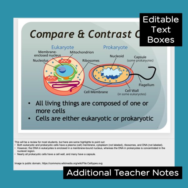 prokaryotes and viruses powerpoint