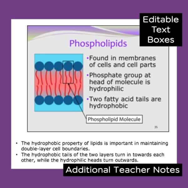 biochemistry powerpoint