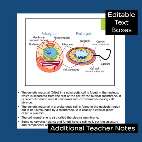 cells powerpoint