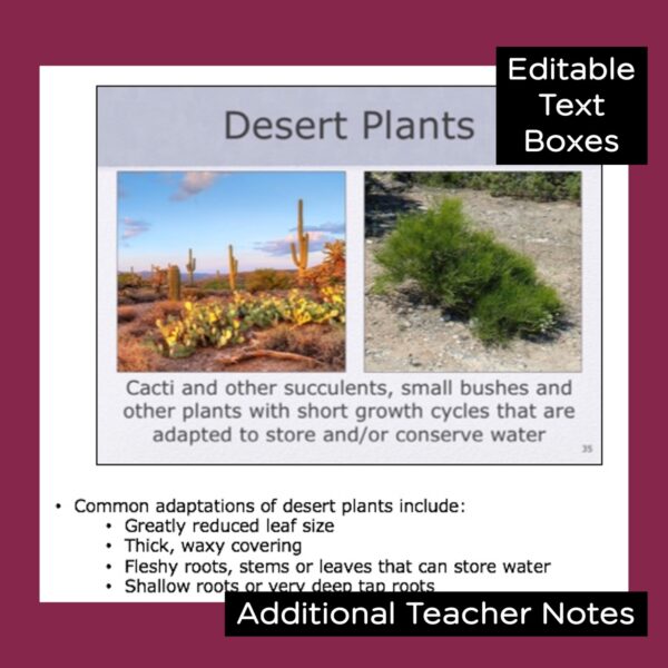 ecosystems powerpoint