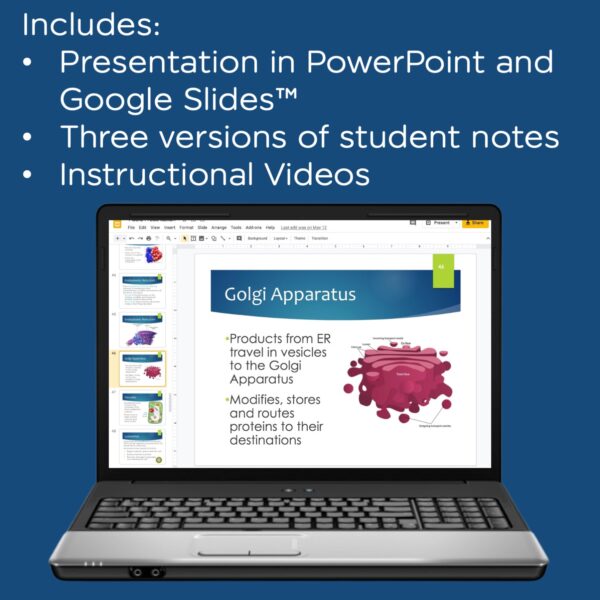 cells powerpoint