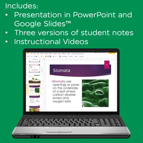 photosynthesis powerpoint