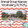 Vocabulary Matching Activity - Animal Group Names