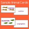 Vocabulary Matching Activity - Animal Group Names