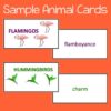 Vocabulary Matching Activity - Animal Group Names