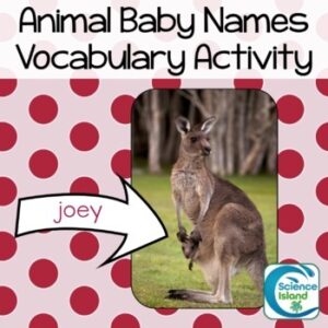 Vocabulary Matching Activity - Animal Baby Names
