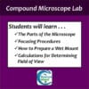Microscope Lab: Using a Compound Light Microscope