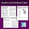 Microscope Lab: Using a Compound Light Microscope