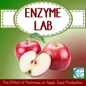 Enzyme Lab: The Effect of Pectinase on Apple Juice Production