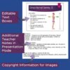 Introduction to Anatomy & Physiology PowerPoint and Notes