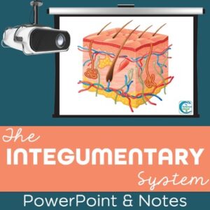 Integumentary System PowerPoint Lesson and Notes - Skin Power Point