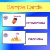 FREE Phobias Science Vocabulary Activity