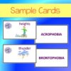 FREE Phobias Science Vocabulary Activity