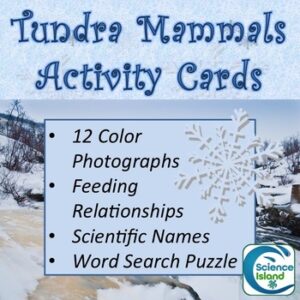 Mammals of the Tundra FREE Activity