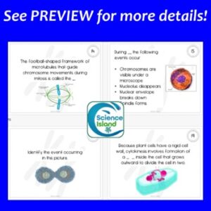 Mitosis and Meiosis Task Cards Activity - Science Island
