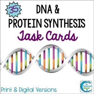 DNA and Protein Synthesis Task Cards Activity for Biology (Print & Digital)