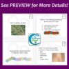 Biochemistry Task Cards Activity for Biology (Print & Digital)