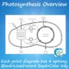Photosynthesis Diagrams and Study Guide (Distance Learning)