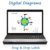 Photosynthesis Diagrams and Study Guide (Distance Learning)
