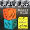 Mitosis and Meiosis Review Qubes